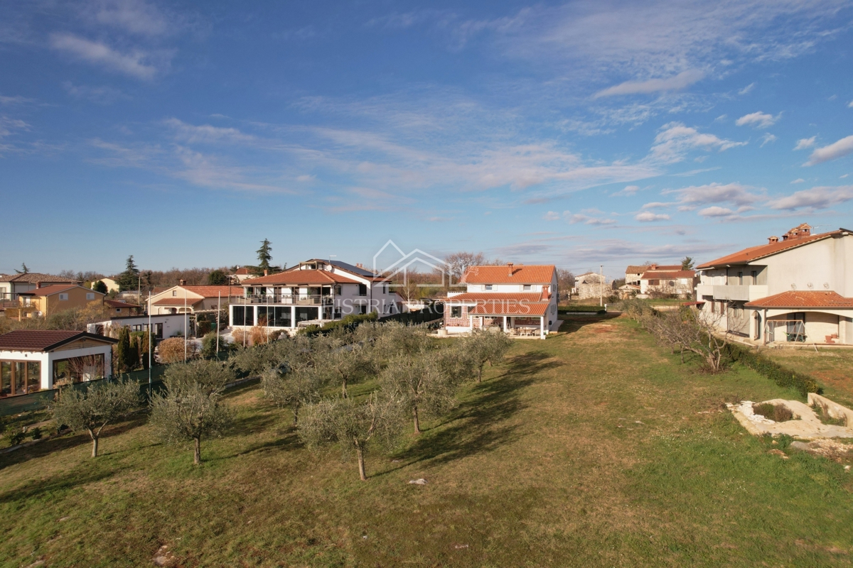 Hiša z oljčnim nasadom na prostornem gradbenem zemljišču in prenovljeno stanovanje z veliko potenciala