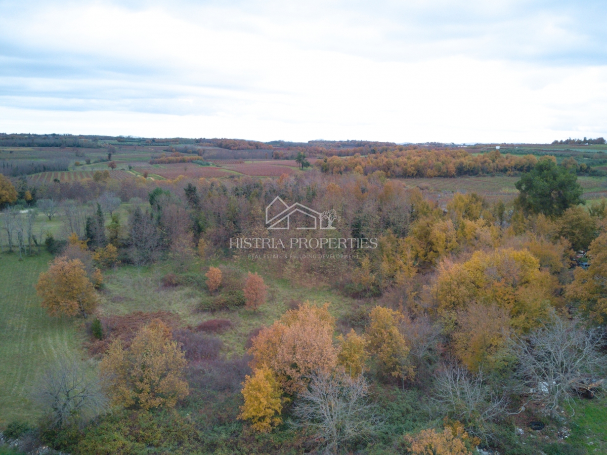 Pravilno oblikovano zemljišče s pogledom na morje v bližini Poreča