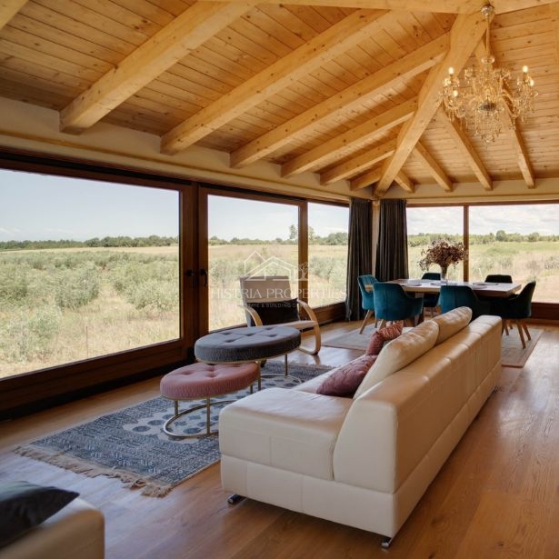 Intimna oaza miru z wellnessom na prostorni parceli, obdani z oljčnim nasadom