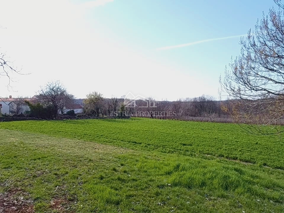 Odlična priložnost za investitorje in gradnjo več stanovanjskih objektov na prostorni parceli z infrastrukturo