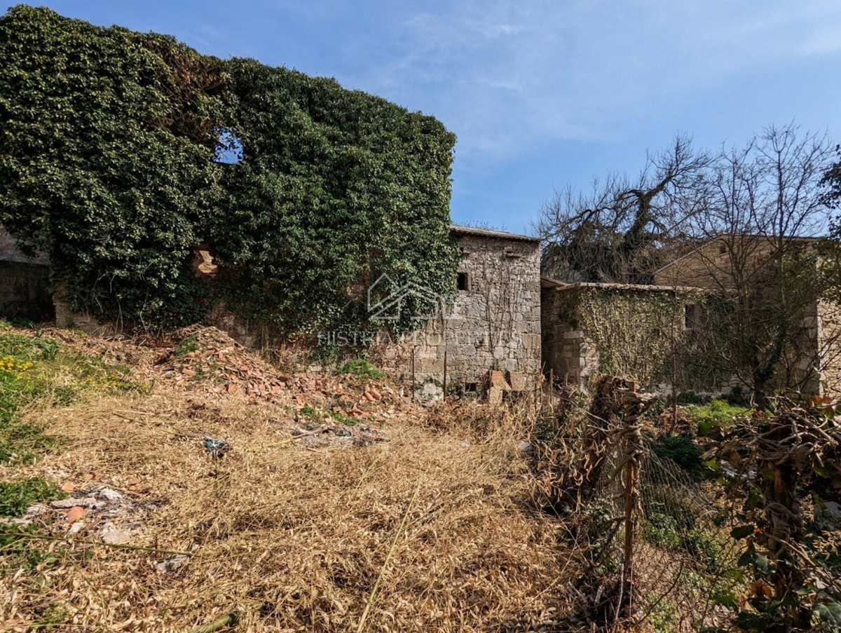 Avtohtona istrska zgodba z zgradbami za prenovo in veliko potenciala