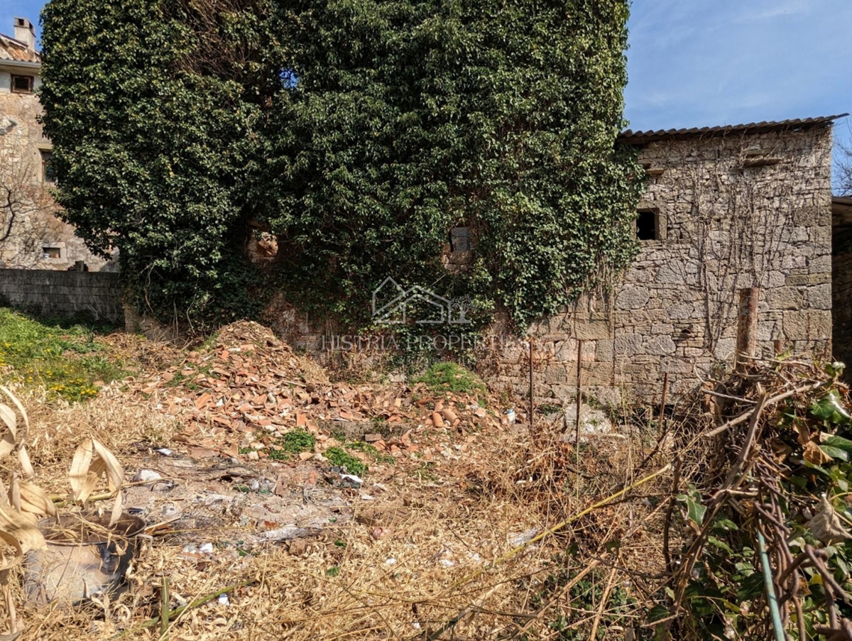 Avtohtona istrska zgodba z zgradbami za prenovo in veliko potenciala