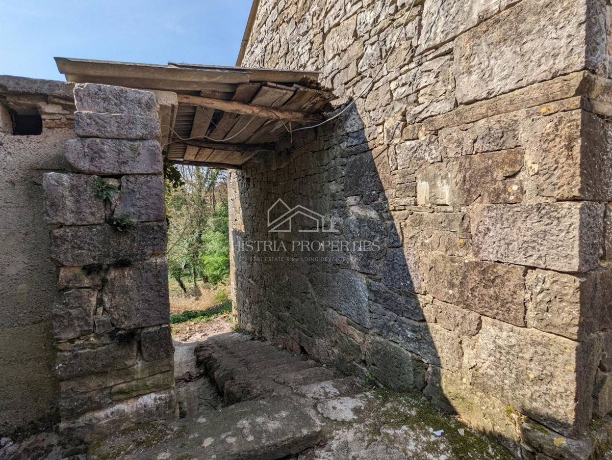 Avtohtona istrska zgodba z zgradbami za prenovo in veliko potenciala