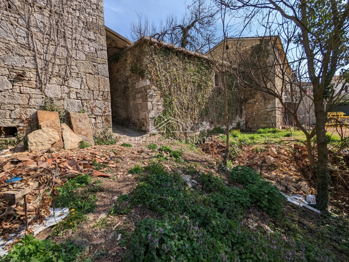 Avtohtona istrska zgodba z zgradbami za prenovo in veliko potenciala