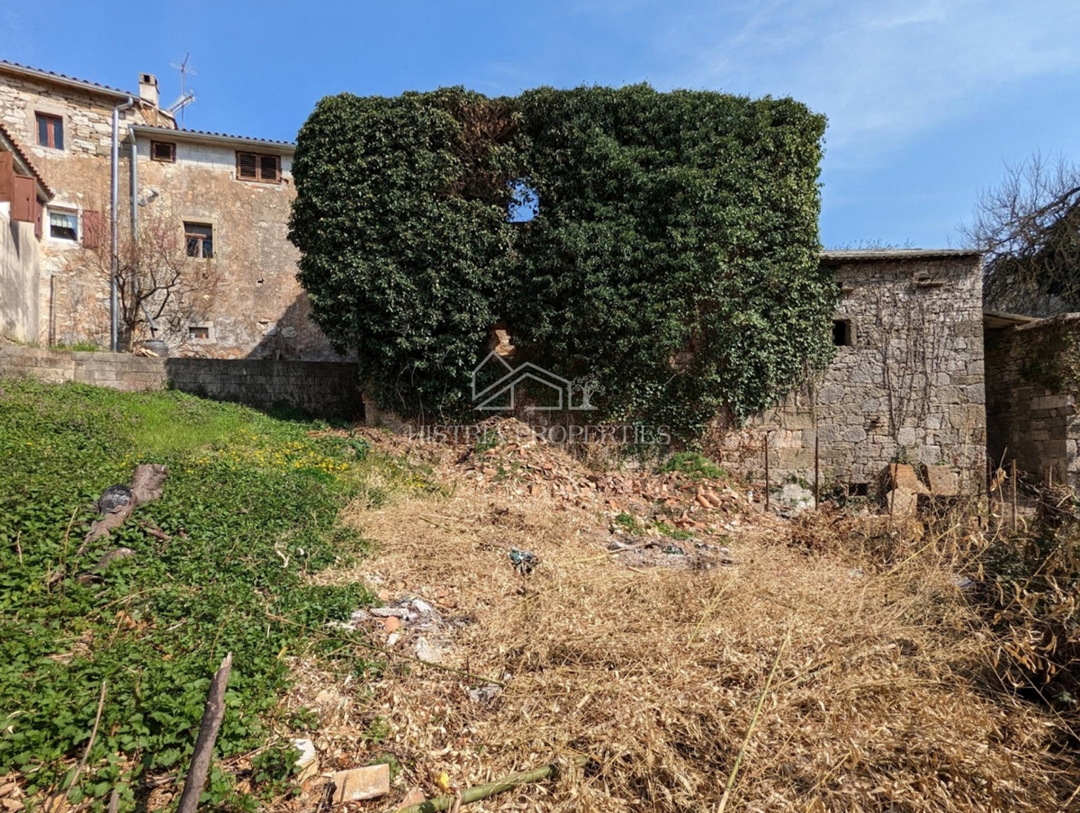 Avtohtona istrska zgodba z zgradbami za prenovo in veliko potenciala