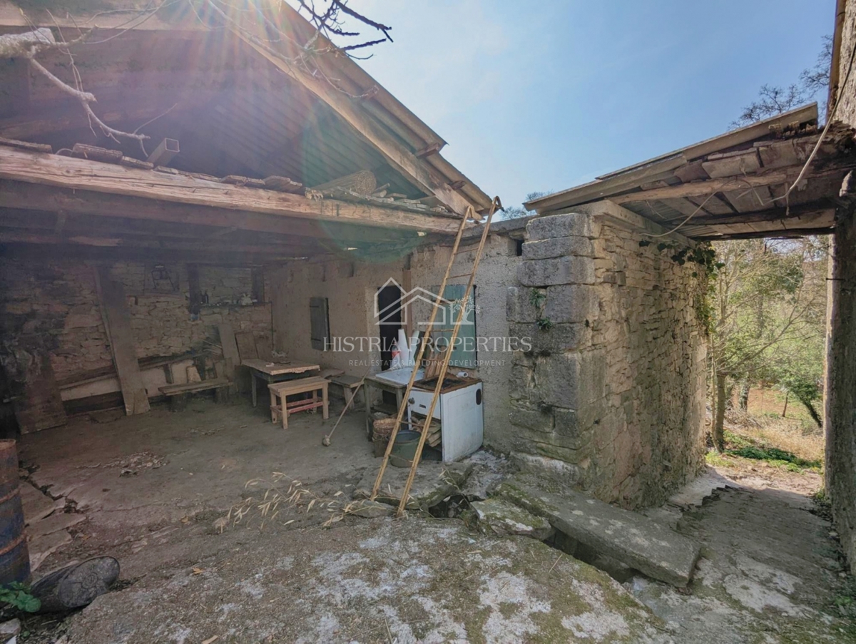 Avtohtona istrska zgodba z zgradbami za prenovo in veliko potenciala