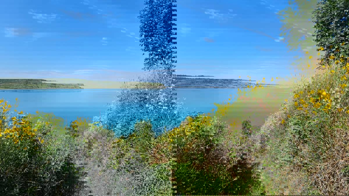 Čudovit razgled na morje