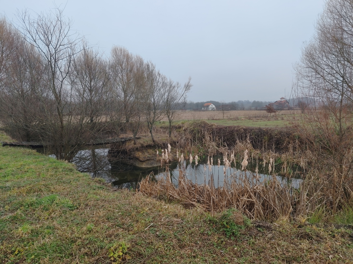 Priložnost – veliko gradbeno zemljišče z objekti