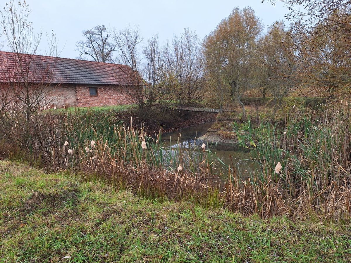 Priložnost – veliko gradbeno zemljišče z objekti
