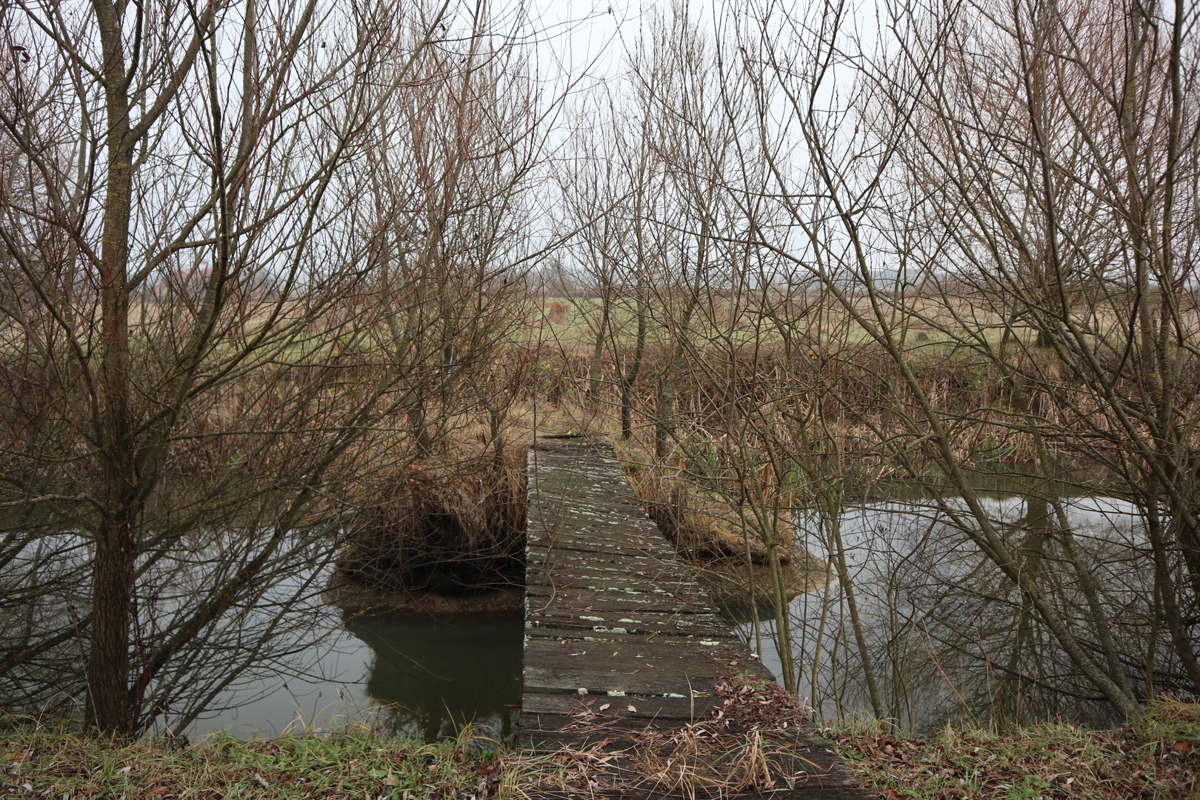 Priložnost – veliko gradbeno zemljišče z objekti