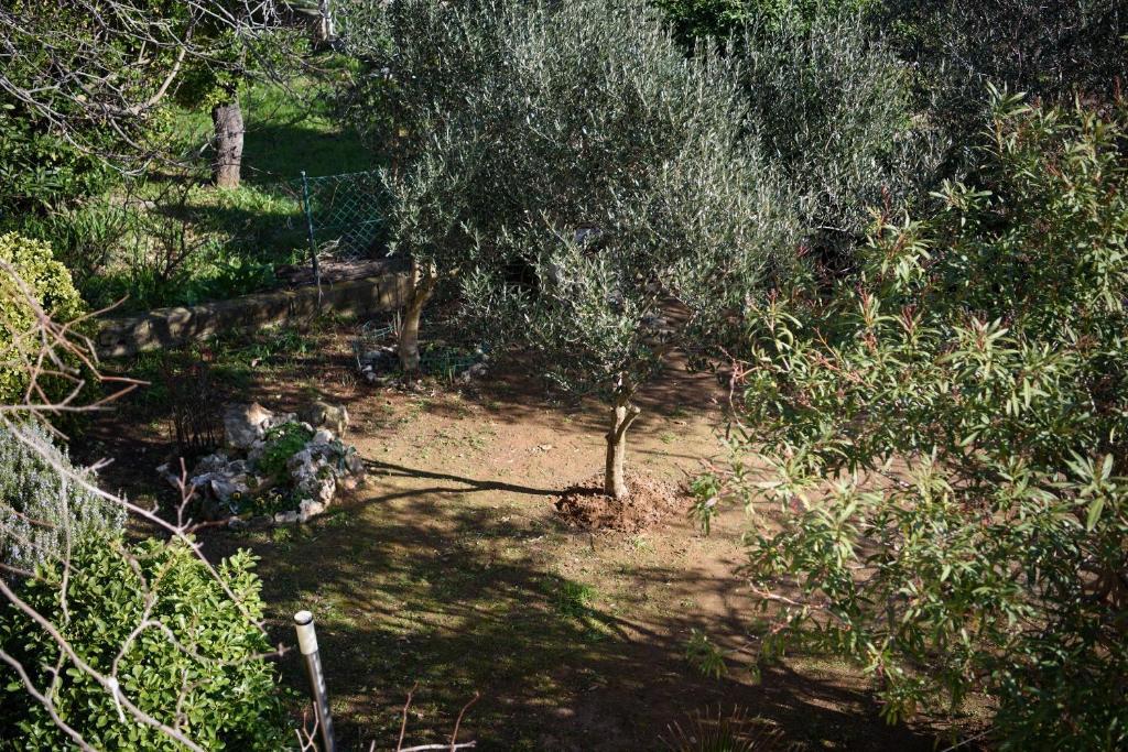 Hiša Premantura, Medulin, 220m2