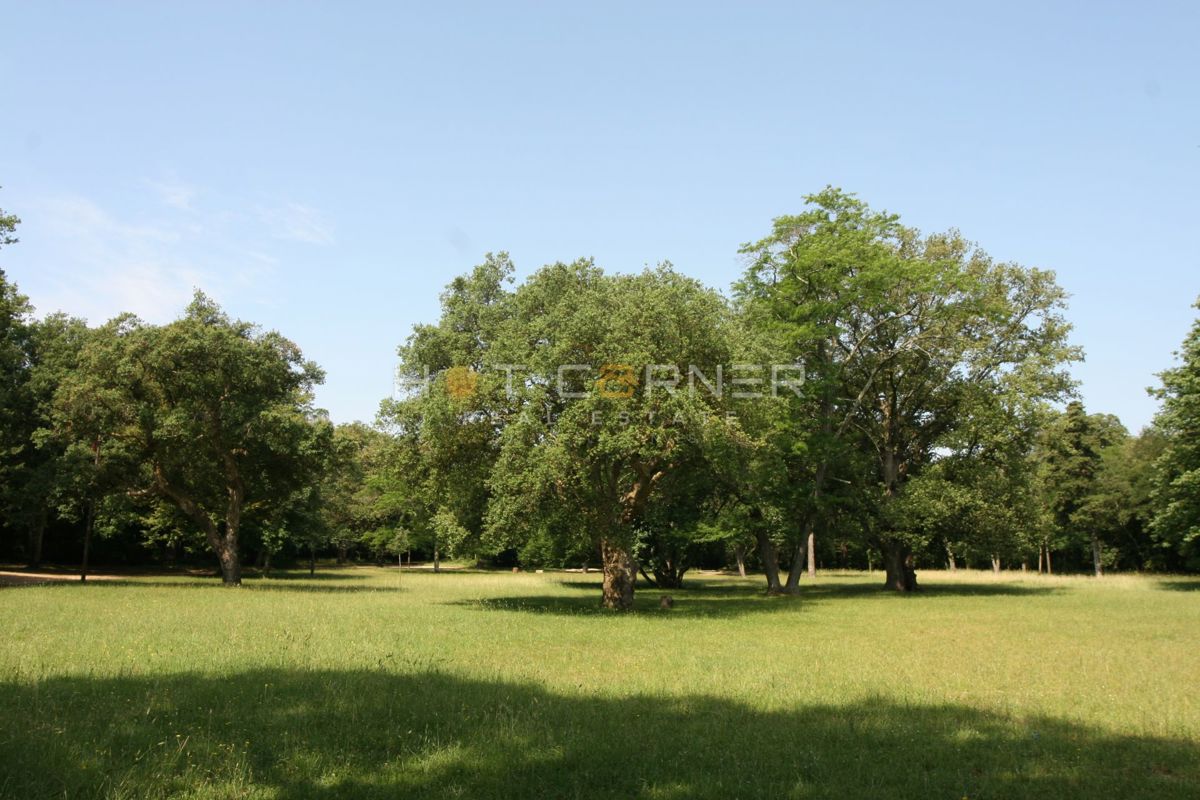 Pulj, pri Šijanskem gozdu, pritlično stanovanje 2SS + 97 m² vrta