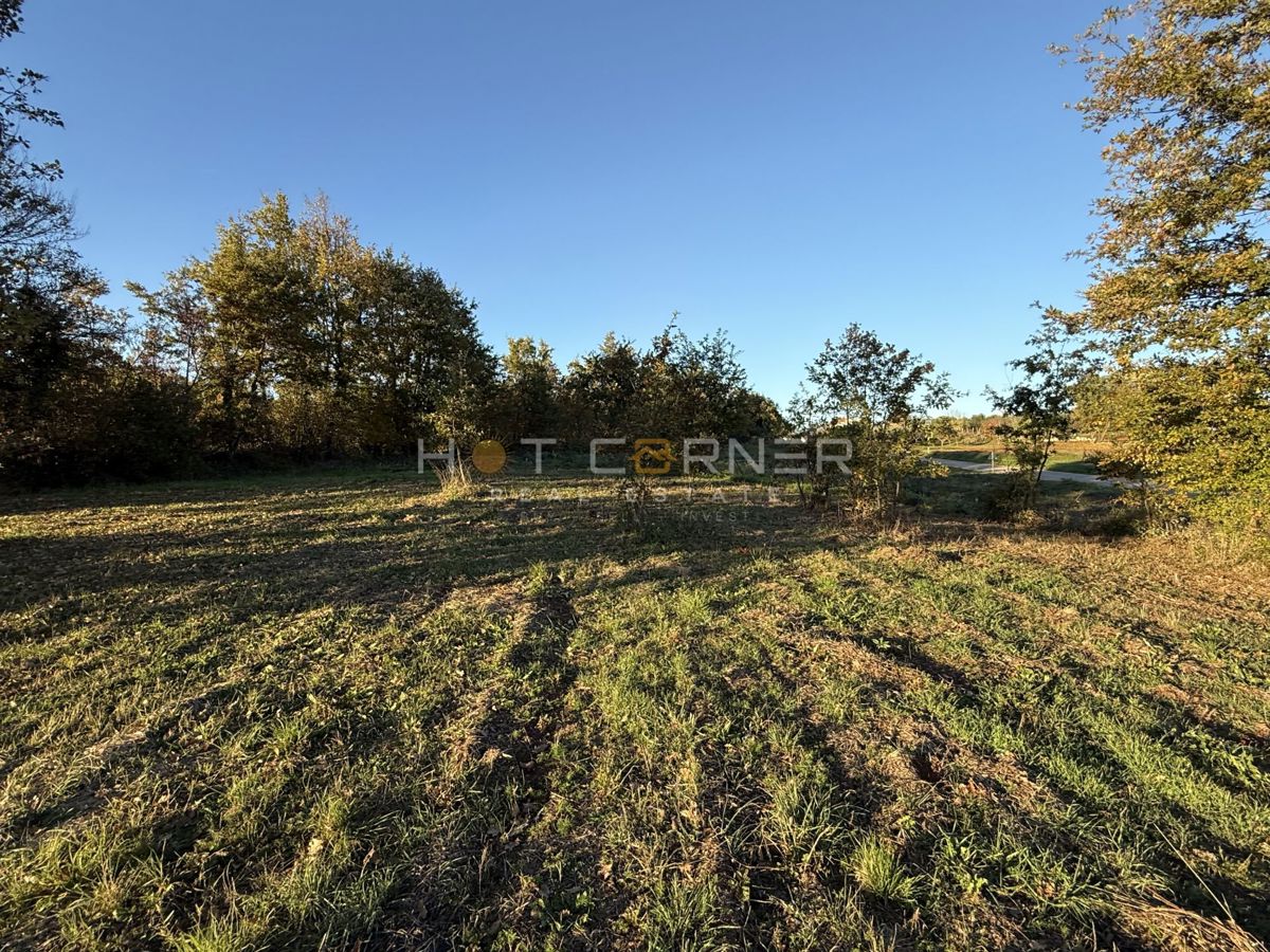 Barban, 4 zazidljiva zemljišča za gradnjo 4 počitniških hiš, pogled na morje