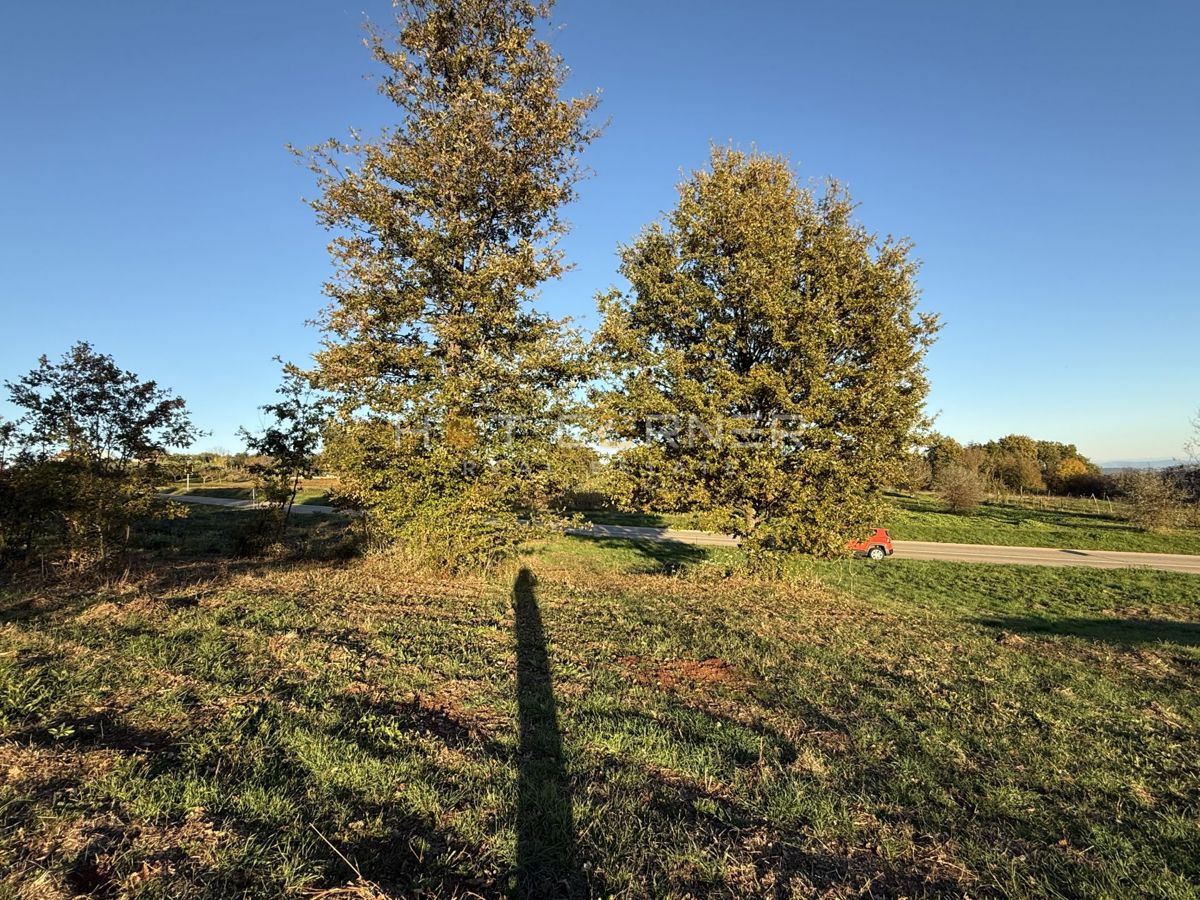 Barban, 4 zazidljiva zemljišča za gradnjo 4 počitniških hiš, pogled na morje