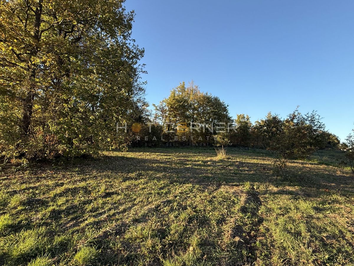 Barban, 4 zazidljiva zemljišča za gradnjo 4 počitniških hiš, pogled na morje