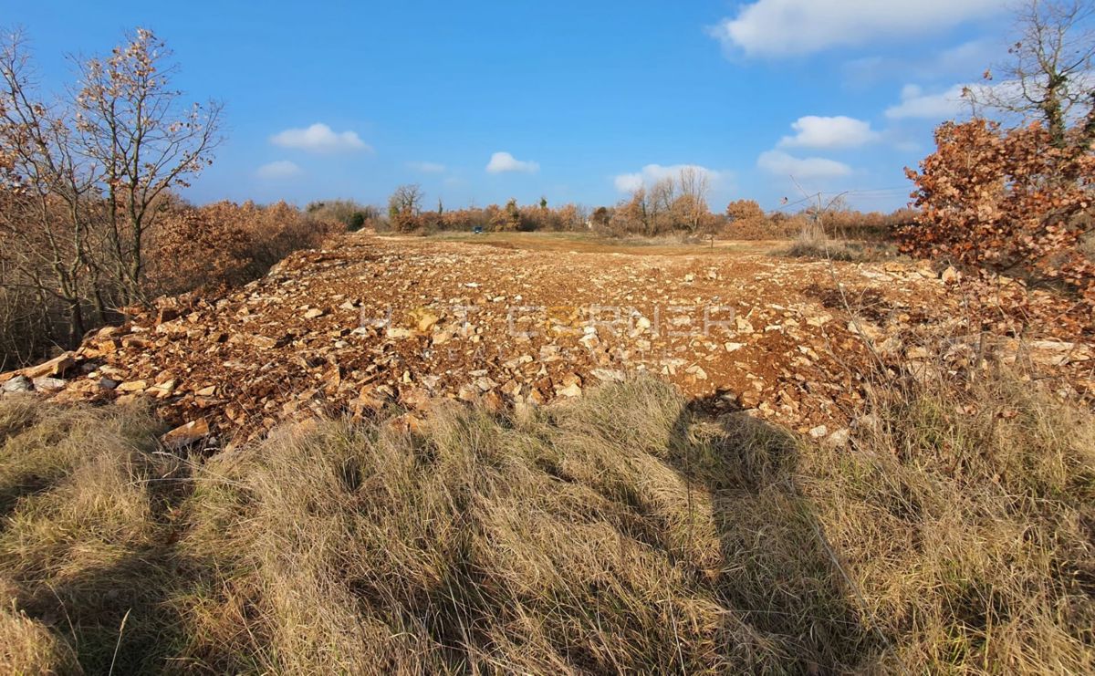Vodnjan - gradbeno zemljišče 916 m² z dovoljenjem za vilo + bazen!