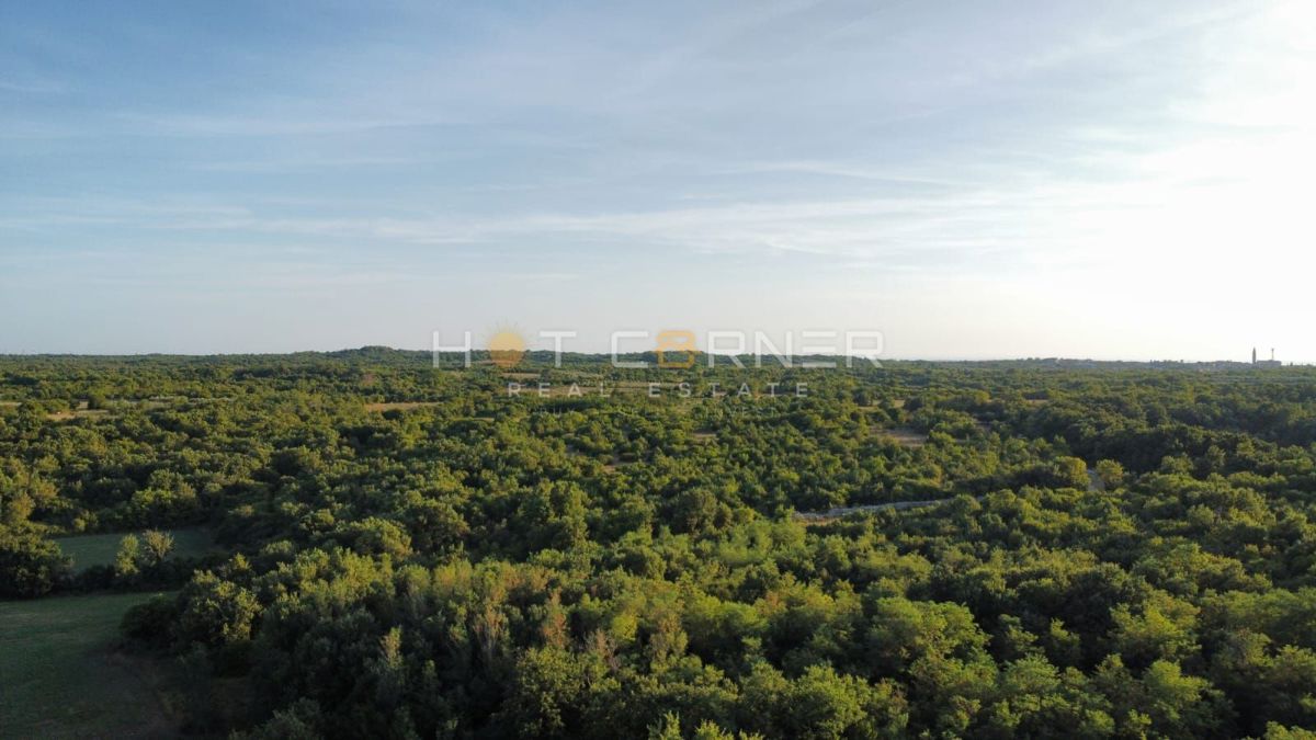 Vodnjan - gradbeno zemljišče 916 m² z dovoljenjem za vilo + bazen!