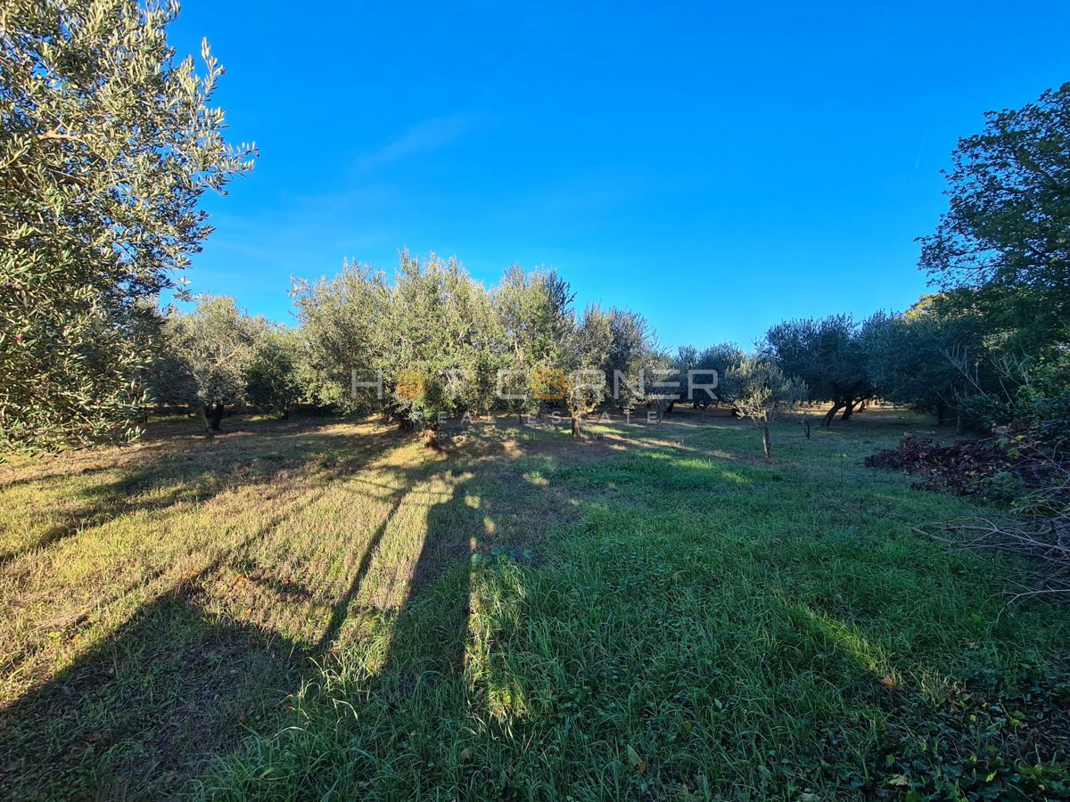 Zemljišče Medulin, 2.800m2