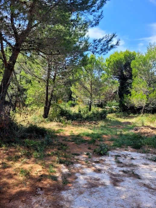 Medulin, zazidljivo zemljišče obdano z zelenjem, pogled na morje, 1,5 km od plaže