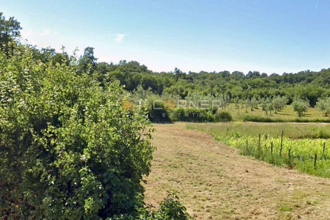 Zemljišče v Šegotićih, mirna lokacija, elektrika na parceli