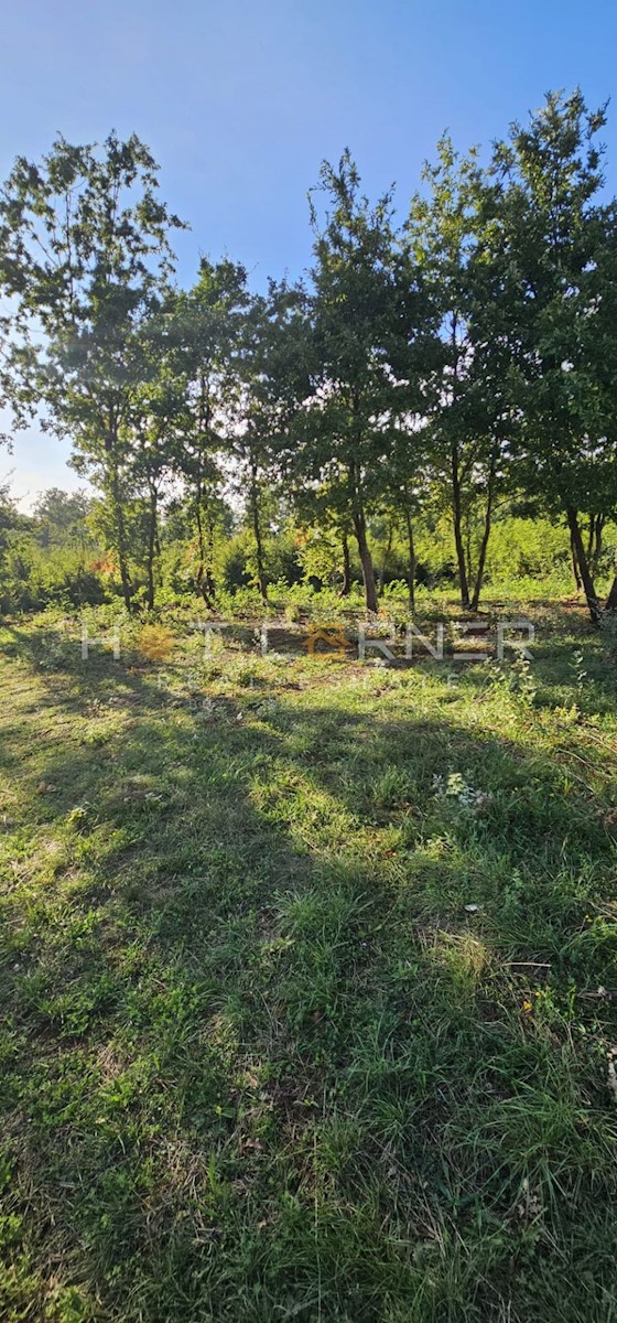 Barban, Majhna Hiša s Bazénom v Prelepem Okolju, 8 km od Plaž