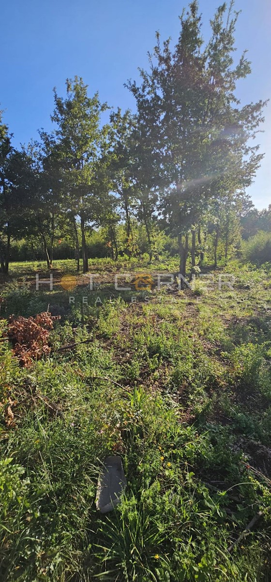 Barban, Majhna Hiša s Bazénom v Prelepem Okolju, 8 km od Plaž