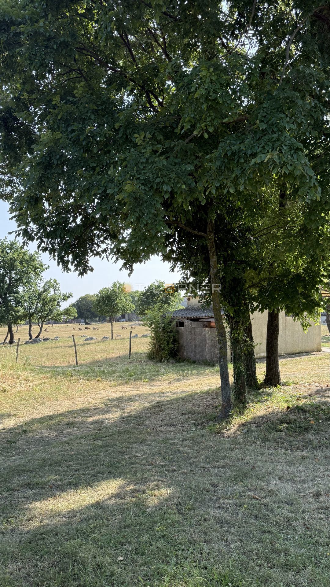 Avtohtona istrska kamnita hiša z zazidljivim zemljiščem