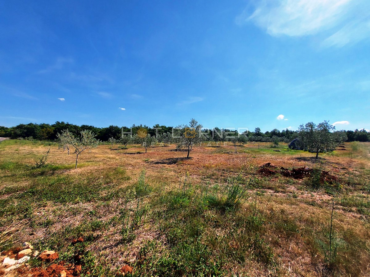 Zemljišče Vodnjan, 9.900m2