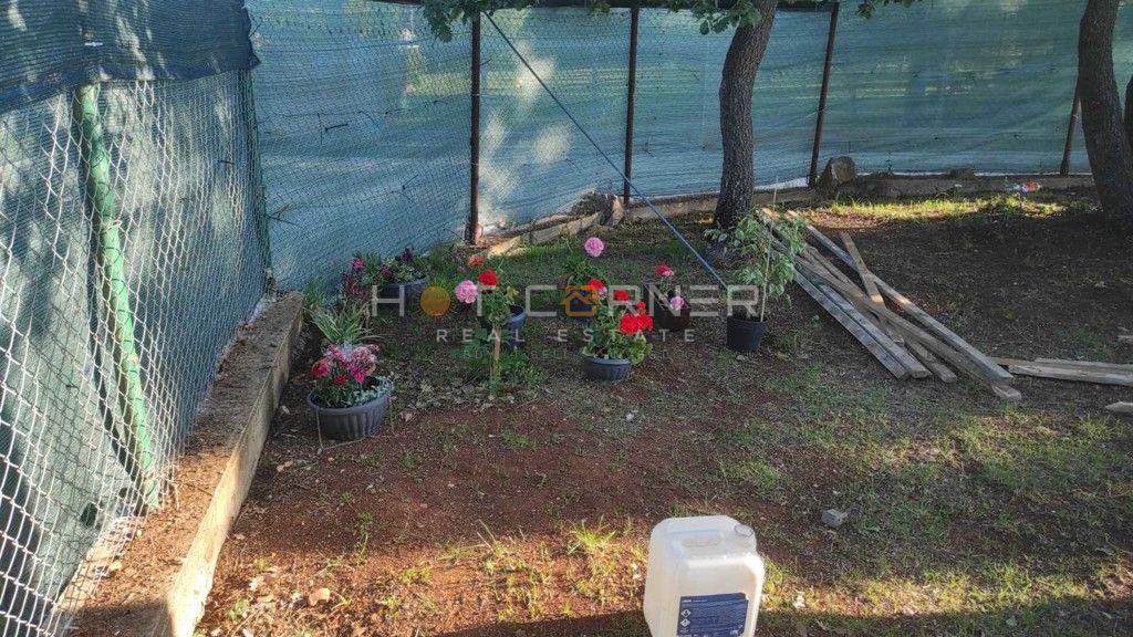 PRILOŽNOST! Legalizirana počitniška hiša na 1300 m² zemljišča v naravni oazi, 1,5 km od morja