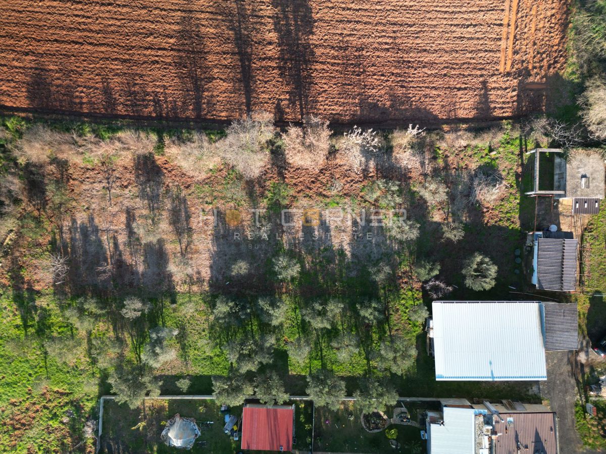 Vikendica s sadovnjakom & olivami – samo €150k v Banjolama!