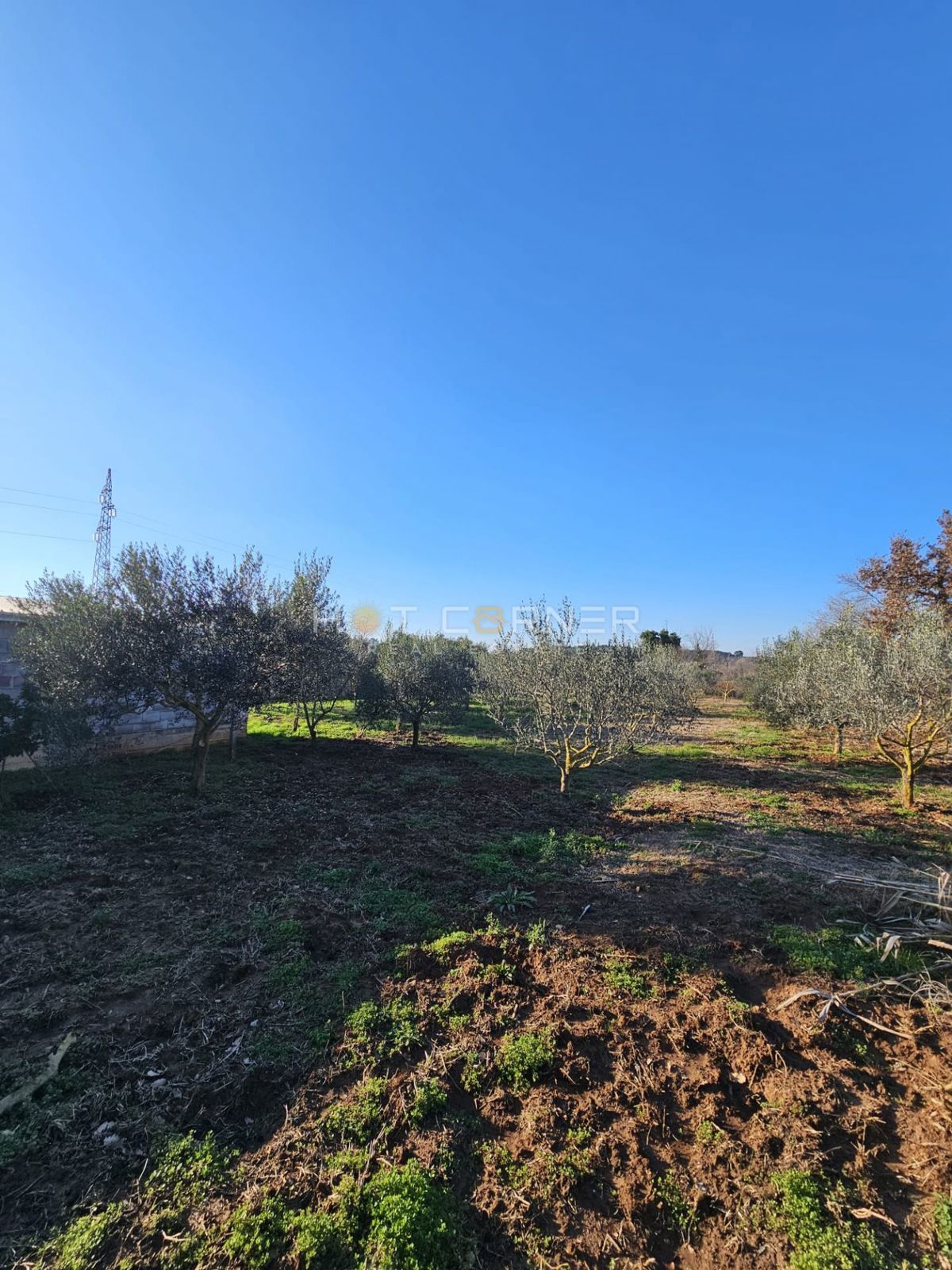 Vikendica s sadovnjakom & olivami – samo €150k v Banjolama!