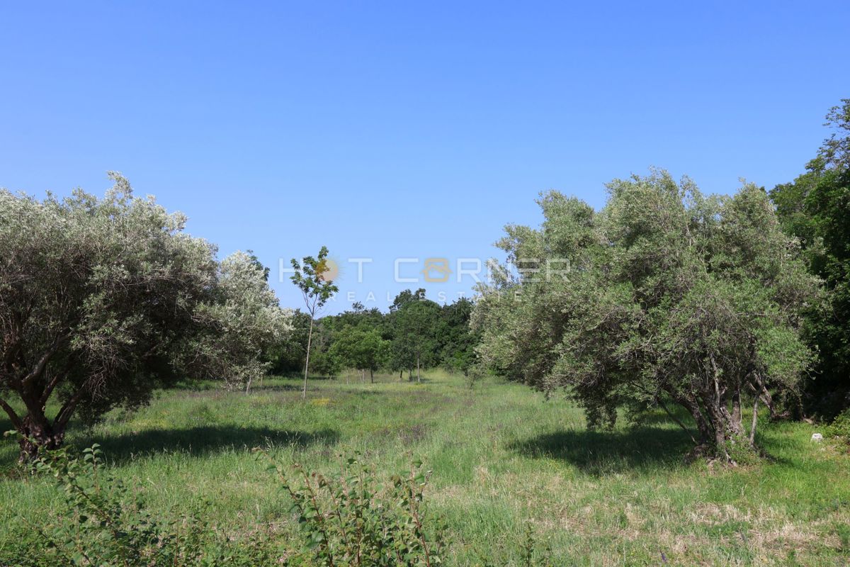 Zemljišče Duga Uvala, Marčana, 1.200m2