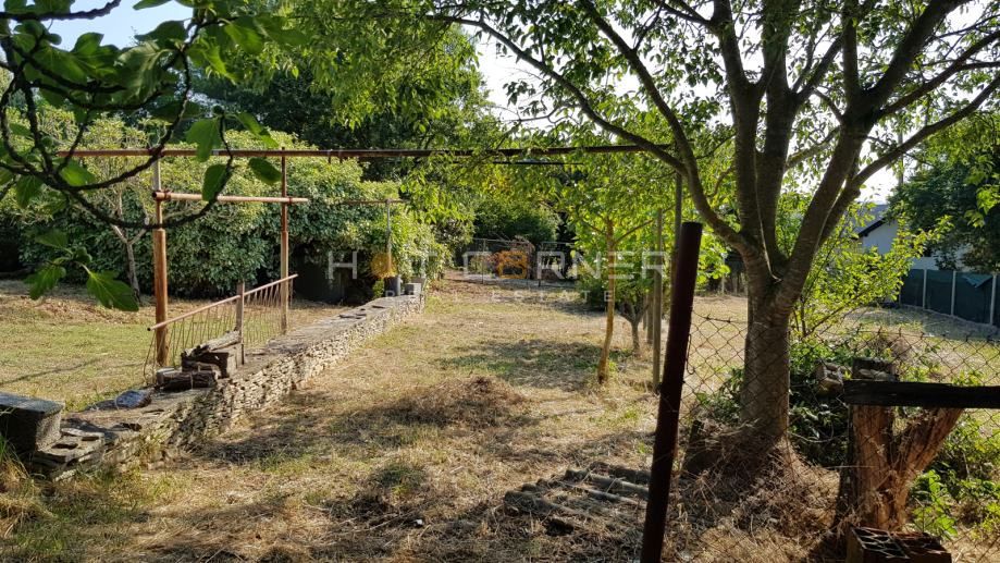 Vintijan, Pješčana Uvala, čudovito urejena kmetijska parcela, 2 km od morja
