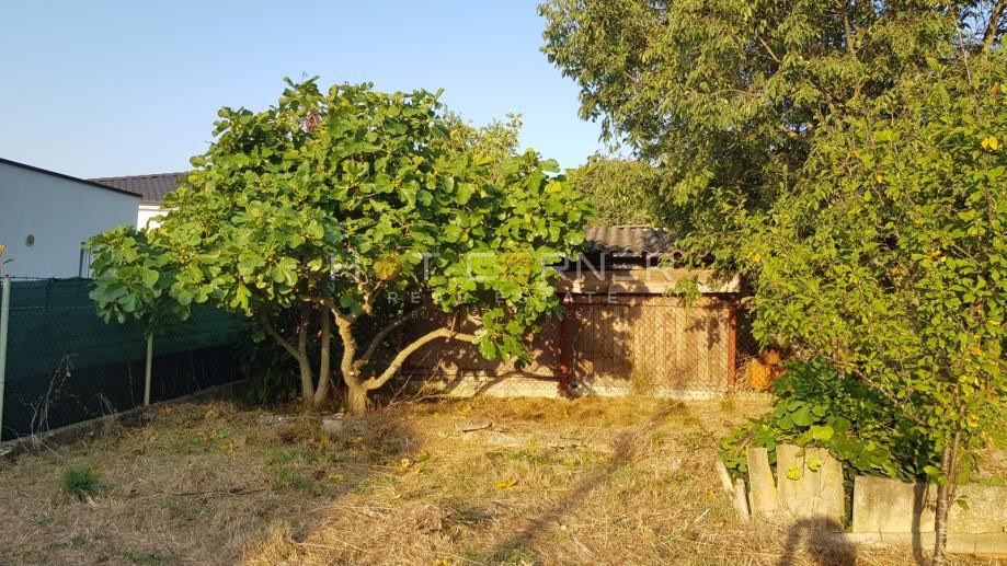 Vintijan, Pješčana Uvala, čudovito urejena kmetijska parcela, 2 km od morja