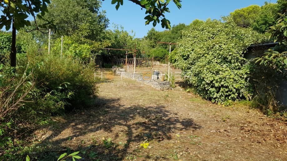 Vintijan, Pješčana Uvala, čudovito urejena kmetijska parcela, 2 km od morja
