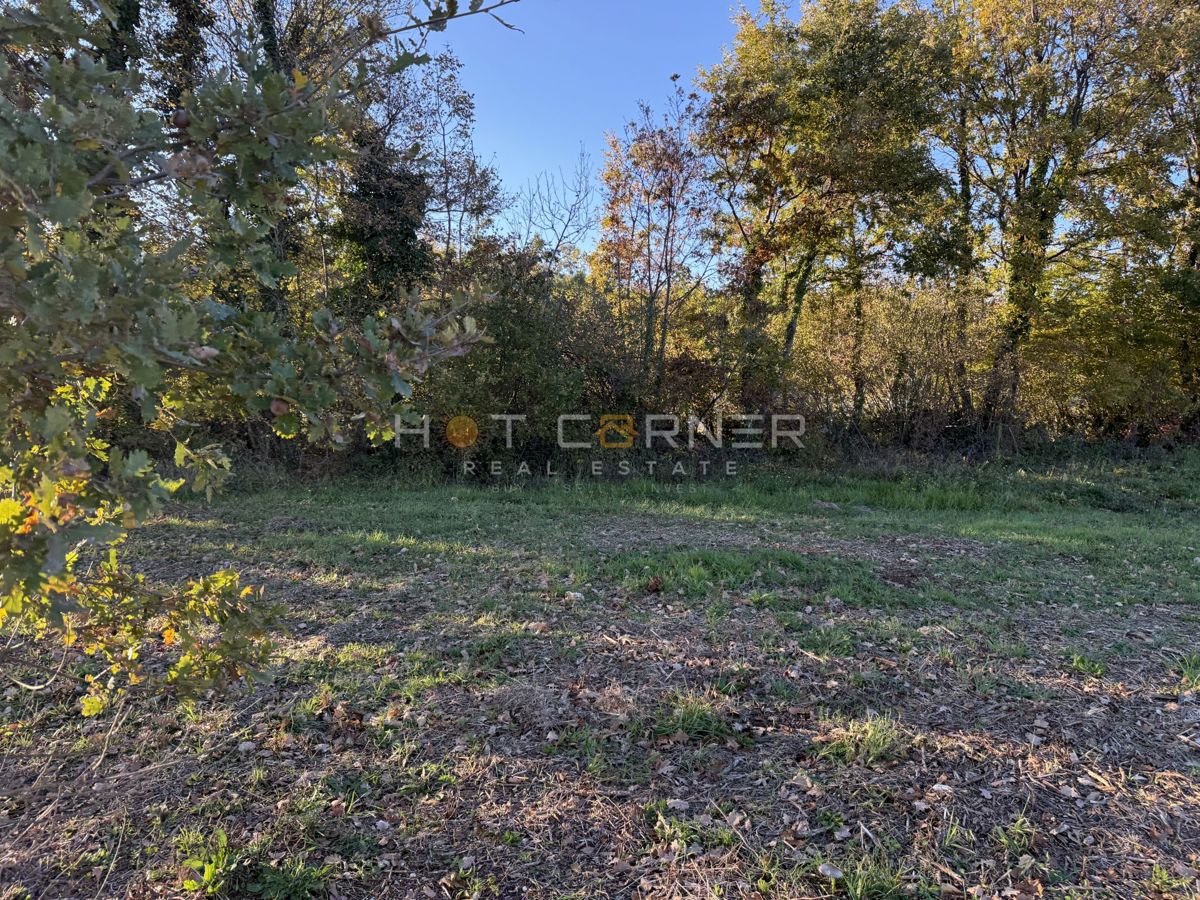 Barban – Gradbena parcela v mirnem in zelenem okolju