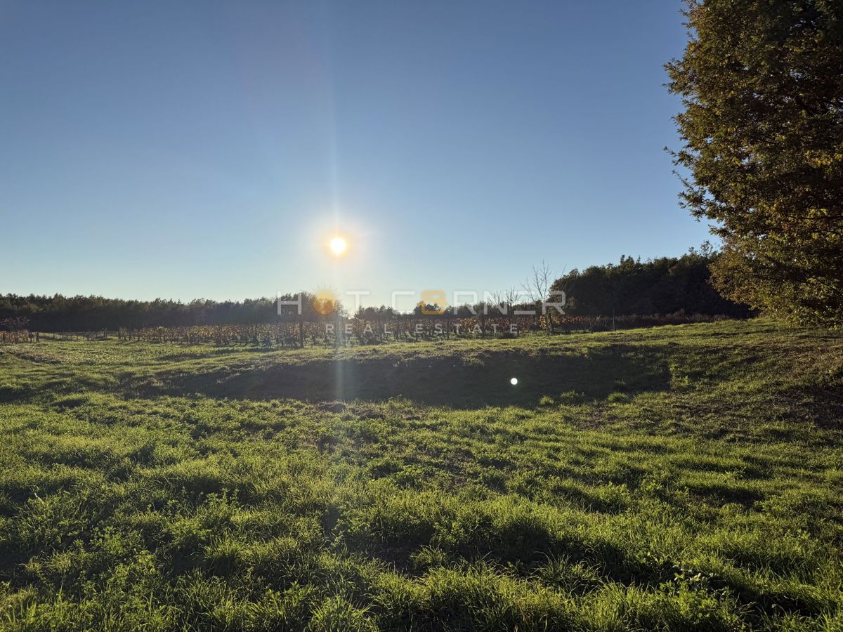 Barban – Gradbena parcela v mirnem in zelenem okolju