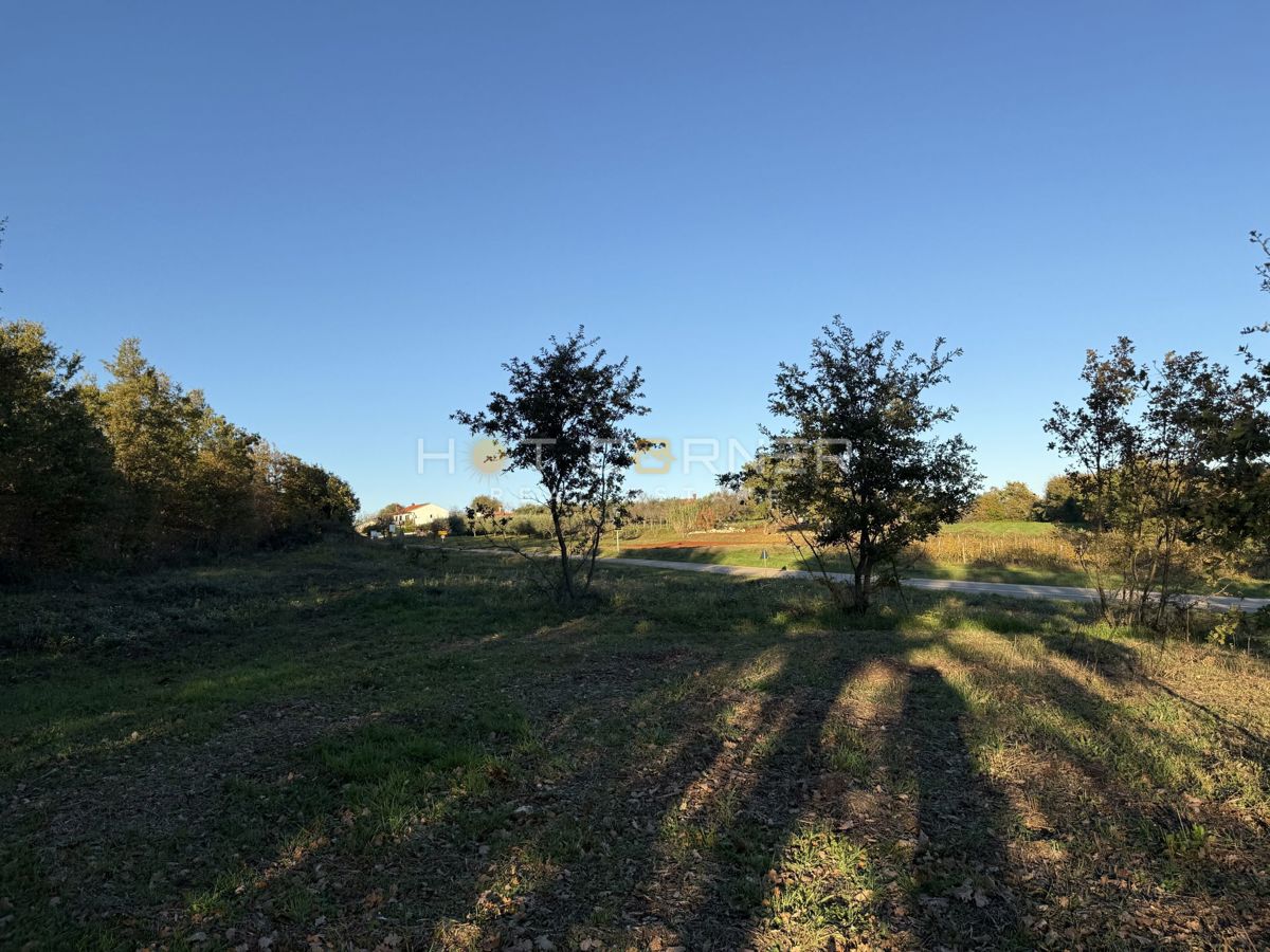 Barban – Gradbena parcela v mirnem in zelenem okolju