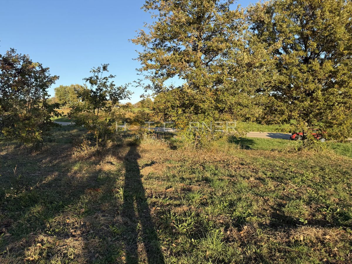 Barban – Gradbena parcela v mirnem in zelenem okolju