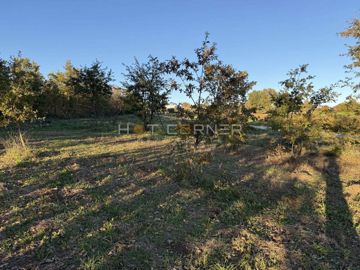 Barban – Gradbena parcela v mirnem in zelenem okolju