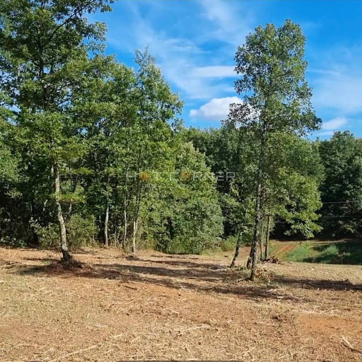 Zemljišče Lindar, Pazin - Okolica, 3.500m2