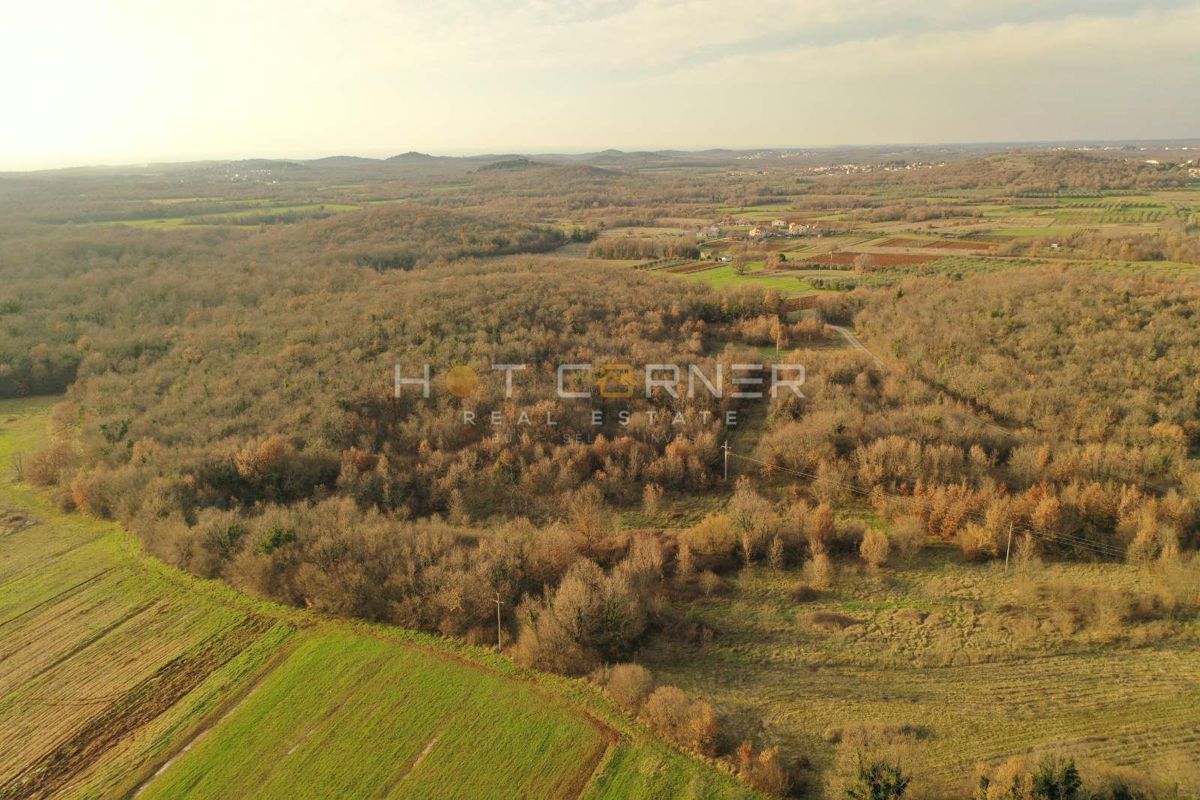 Kmetijsko zemljišče Vrsar, 6.600m2
