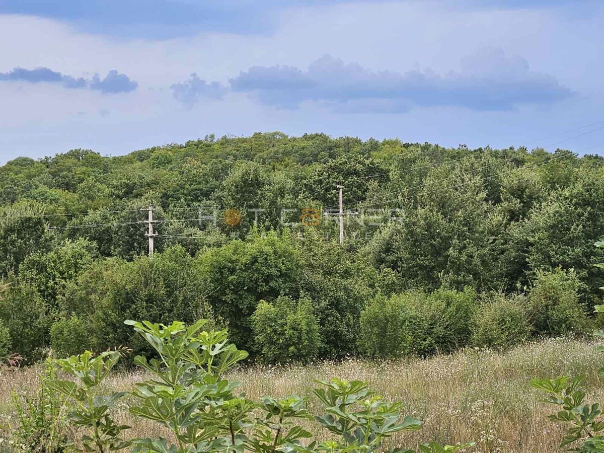 Kmetijsko zemljišče Vrsar, 6.600m2