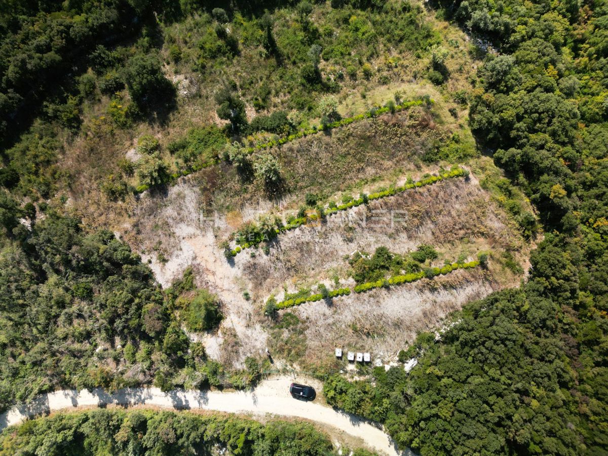 Zemljišče z oljkami, gozdom in pašnikom
