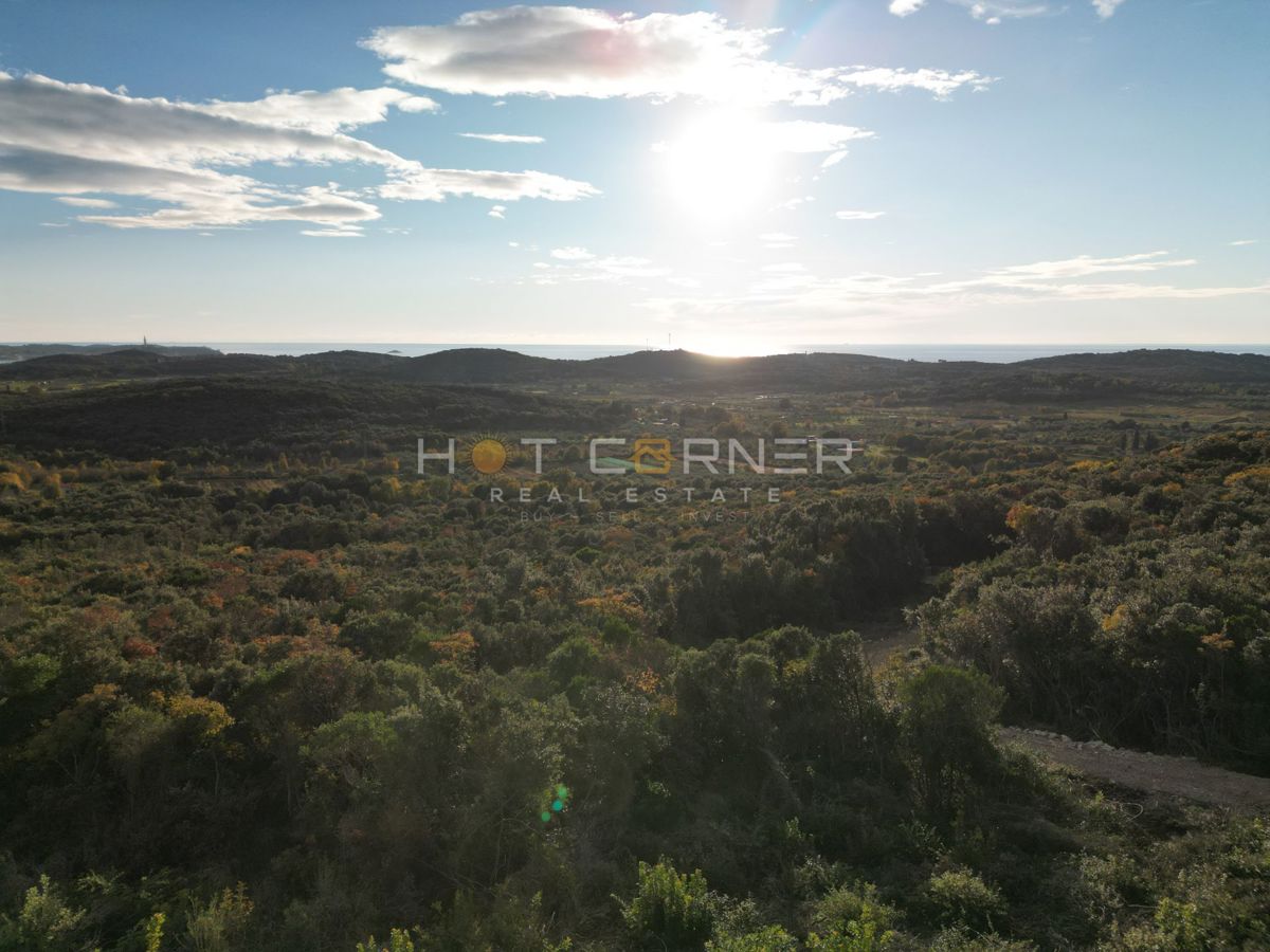 Gozd 15.674 m² ob Rovinju