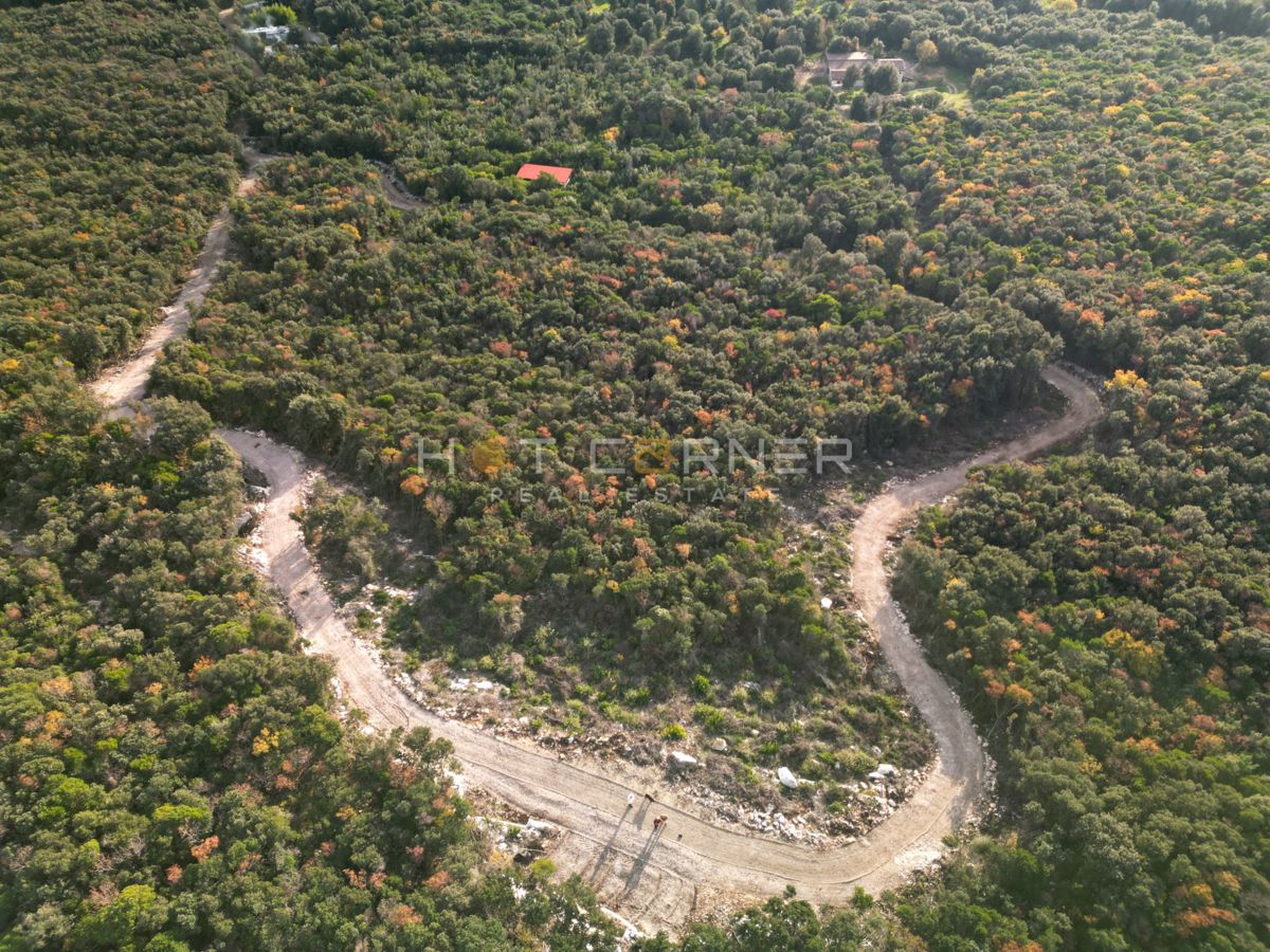 Gozd 15.674 m² ob Rovinju