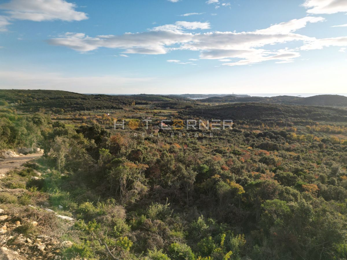 Gozd 15.674 m² ob Rovinju