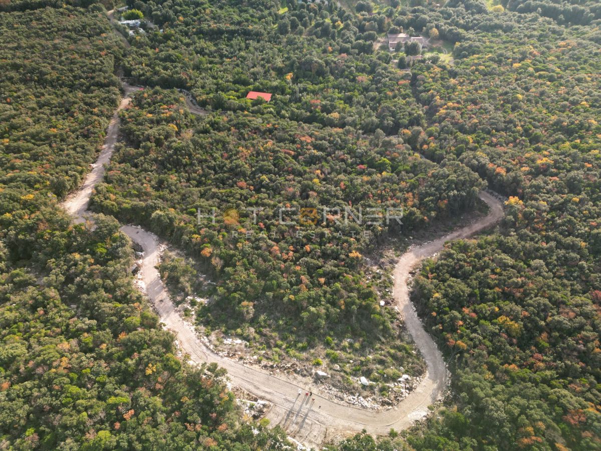 Gozd 15.674 m² ob Rovinju