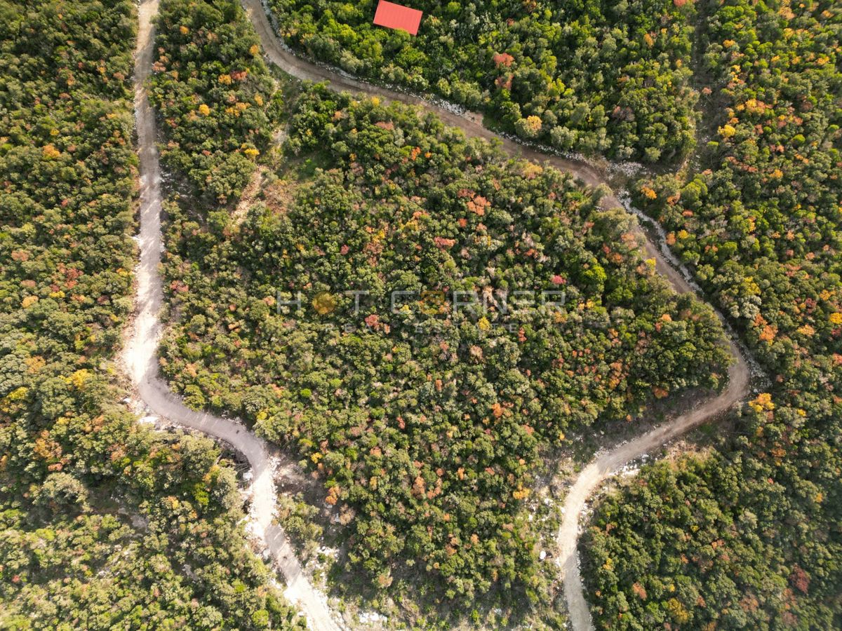 Gozd 15.674 m² ob Rovinju