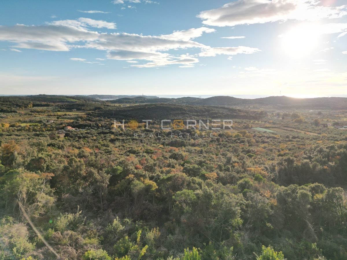 Gozd 15.674 m² ob Rovinju